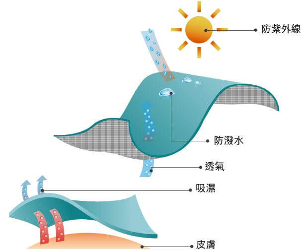 彈性單布